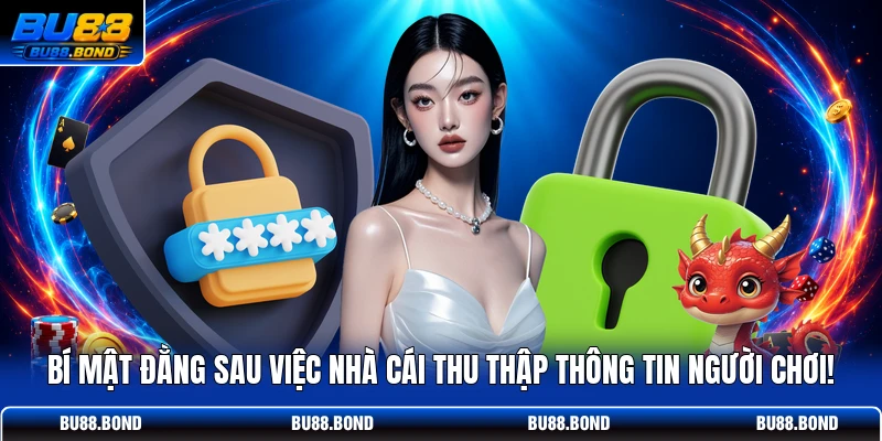 Bí mật đằng sau việc nhà cái thu thập thông tin người chơi!
