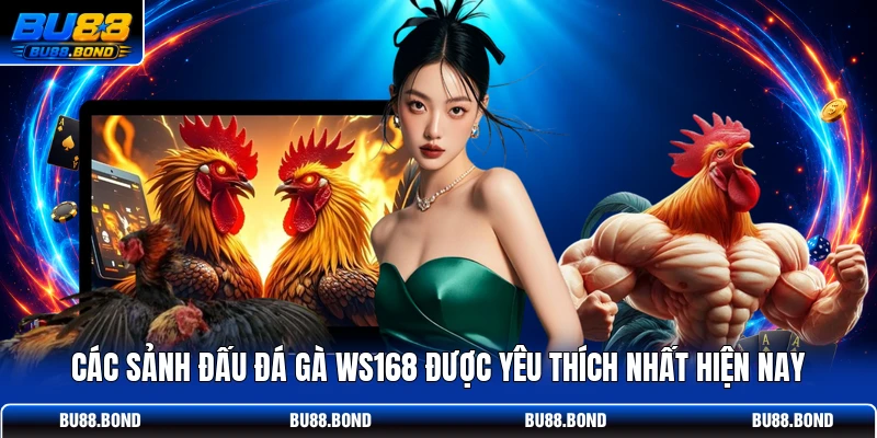 Các sảnh đấu đá gà WS168 được yêu thích nhất hiện nay