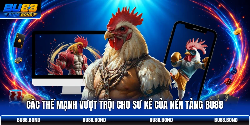 Các thế mạnh vượt trội cho sư kê của nền tảng BU88