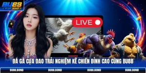 Đá Gà Cựa Dao Trải Nghiệm Kê Chiến Đỉnh Cao Cùng BU88