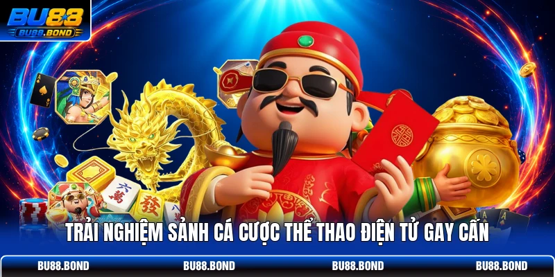 Trải nghiệm sảnh cá cược thể thao điện tử gay cấn